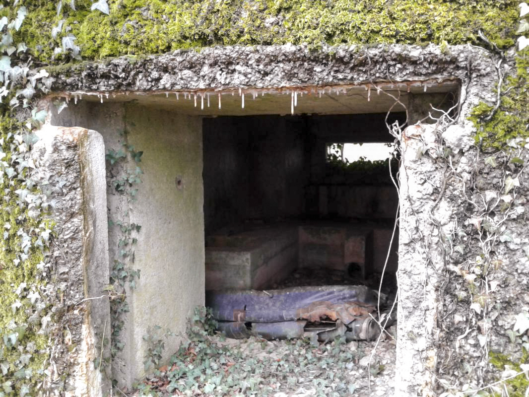Ligne Maginot - MONTZECHANNE - (Blockhaus pour canon) - Entrée arrière pour pièce anti-char

 - Fabrice THOMASSIN