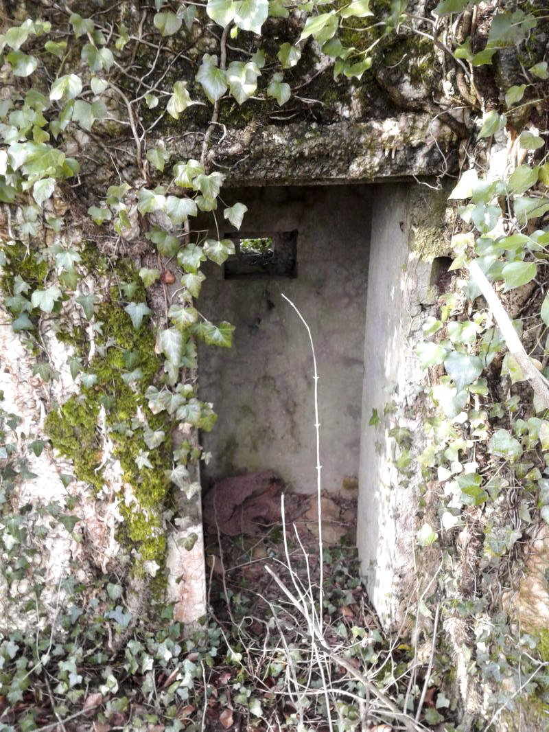 Ligne Maginot - MONTZECHANNE - (Blockhaus pour canon) - Entrée latérale coudée.

 - Fabrice THOMASSIN