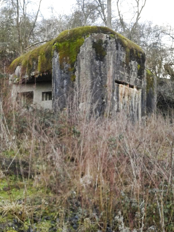 Ligne Maginot - MY3 - (Blockhaus lourd type STG / STG-FCR - Simple) - Vue générale - F-THOMASSIN