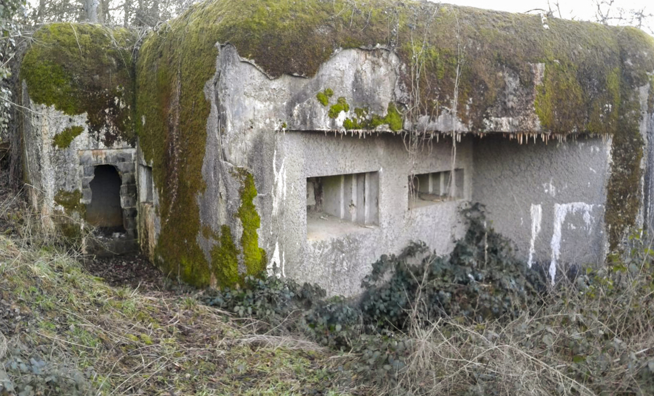 Ligne Maginot - MY3 - (Blockhaus lourd type STG / STG-FCR - Simple) - Vue du bloc.
Les deux créneaux flanquant vers le Nord-Est. Le mitrailleuse à gauche, pièce anti-char à droite - F-THOMASSIN