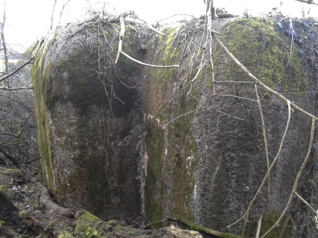 Ligne Maginot - MY3 - (Blockhaus lourd type STG / STG-FCR - Simple) - Face arrière de la casemate. L'entrée de la pièce antichar se faisait en contournant par la gauche, accès actuellement étroit et escarpé, qui ne laissait que peu de place pour manœuvrer. - F-THOMASSIN