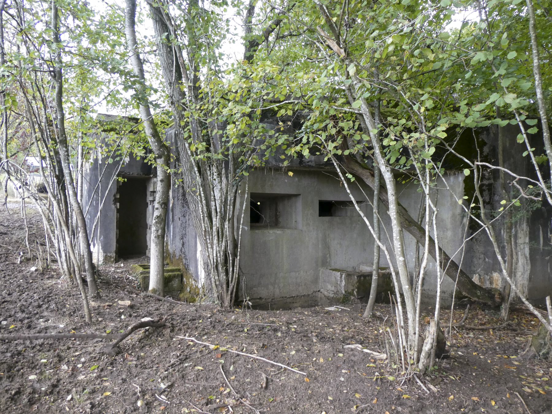 Ligne Maginot - MY4 - (Blockhaus lourd type STG / STG-FCR - Simple) -  - ELLENA - CUNY
