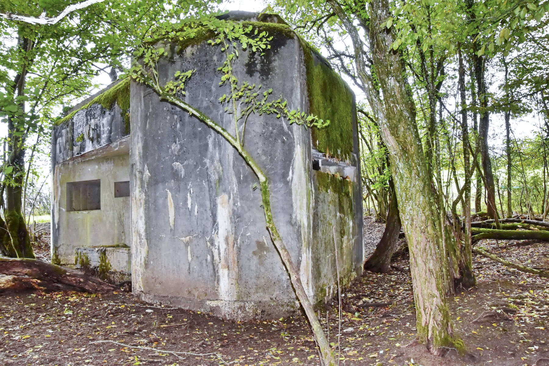 Ligne Maginot - MY4 - (Blockhaus lourd type STG / STG-FCR - Simple) - Les créneaux - D.Froehly