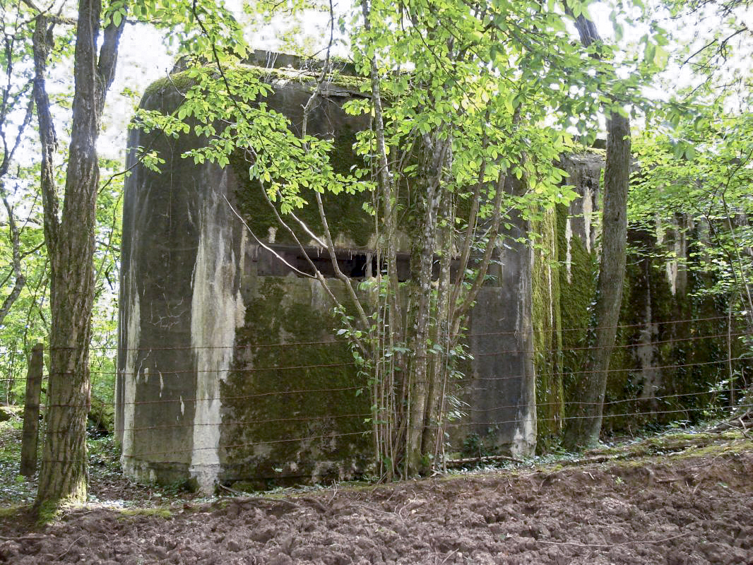 Ligne Maginot - MY4 - (Blockhaus lourd type STG / STG-FCR - Simple) - Créneau d'observation - R Tucker