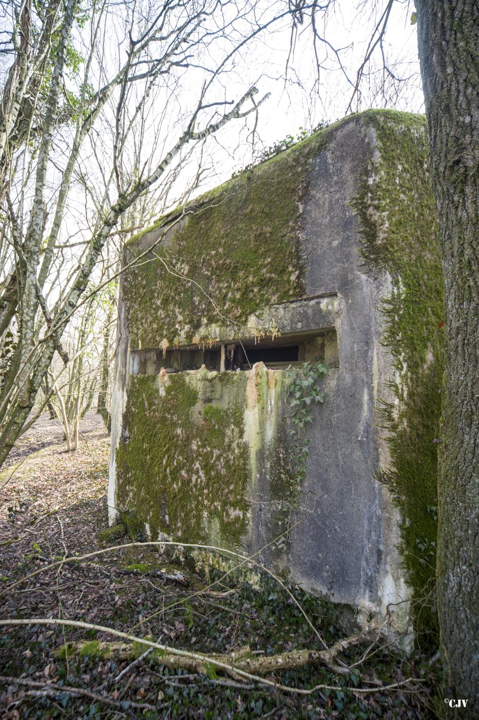 Ligne Maginot - MY4 - (Blockhaus lourd type STG / STG-FCR - Simple) - Le créneau d'observation - Lia VERMEULEN