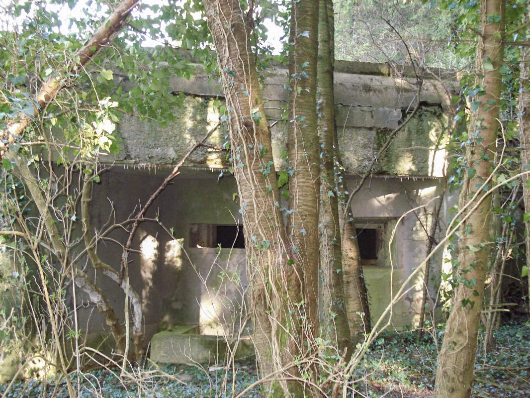Ligne Maginot - MY5 - (Blockhaus lourd type STG / STG-FCR - Double) - Face ouest - R Tucker