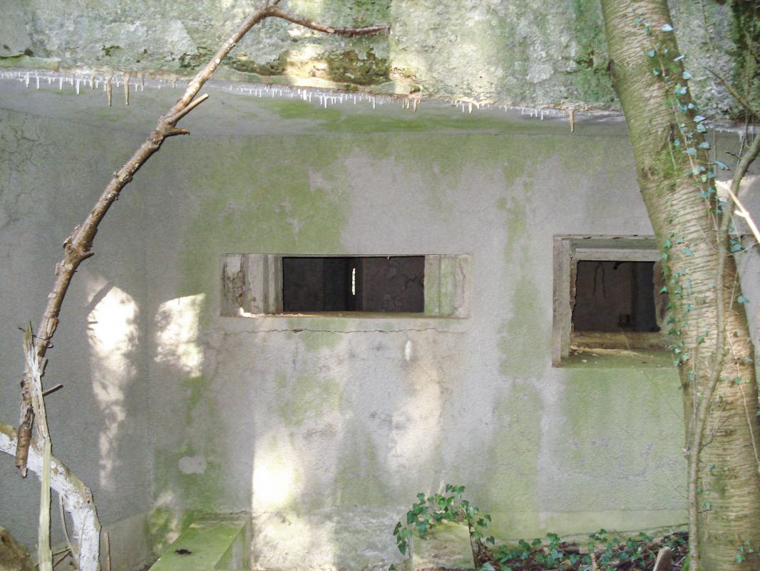 Ligne Maginot - MY5 - (Blockhaus lourd type STG / STG-FCR - Double) - Face ouest, les créneaux - R Tucker