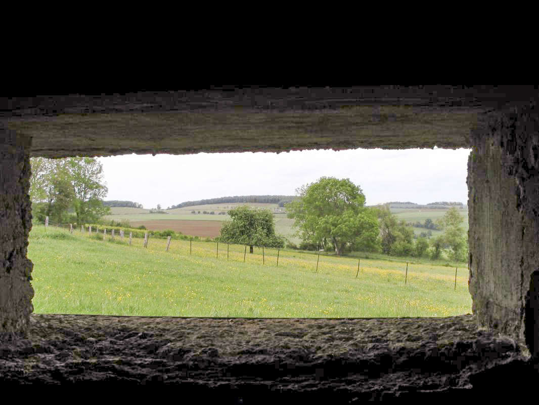 Ligne Maginot - MY6 - (Blockhaus lourd type STG / STG-FCR - Double) - Vue vers le nord; la colline de l'ouvrage le Chenois - R Tucker
