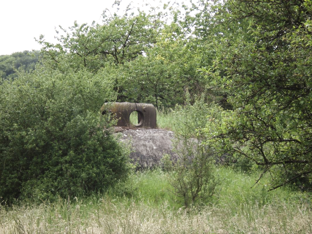 Ligne Maginot - MY8 - LAITERIE - (Casemate d'artillerie) -  - R Tucker