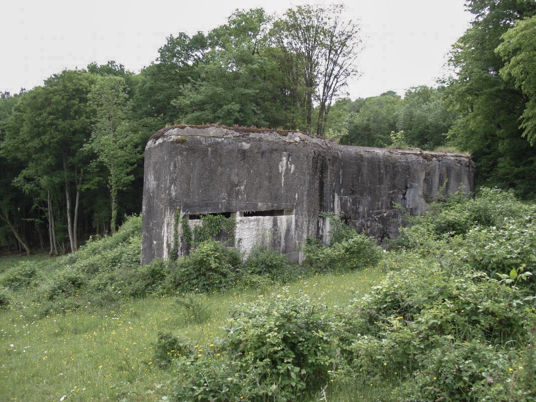 Ligne Maginot - MY9 - (Blockhaus lourd type STG / STG-FCR - Simple) - Pris du nord-est - R Tucker