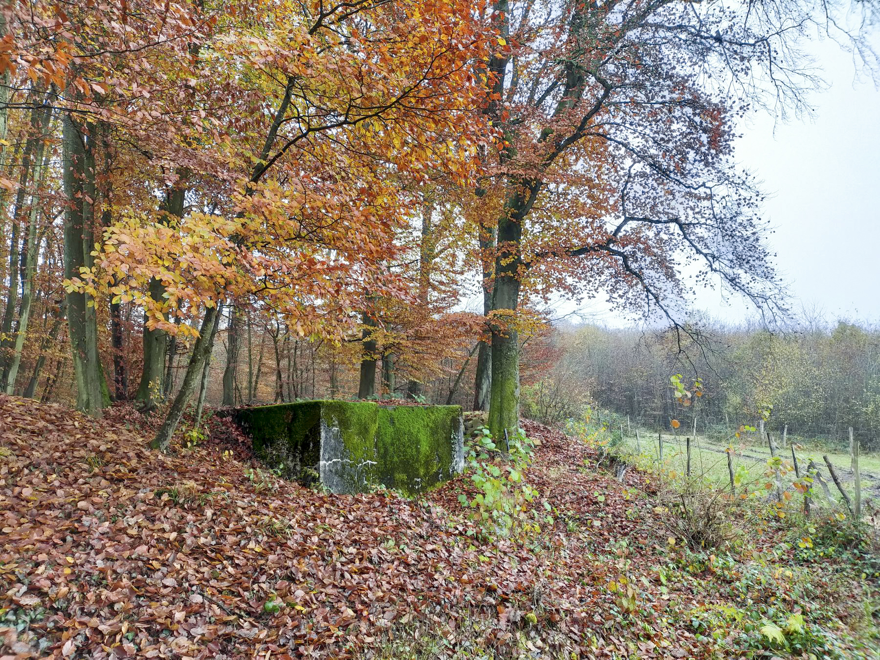 Ligne Maginot - HUBERBUSCH 1BIS - (Cuve pour arme d'infanterie) - Vue sur Huberbusch 1 - Julien Boulanger