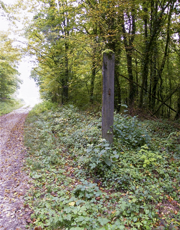 Ligne Maginot - My13 - VILLECLOYE (Casemate d'artillerie) -  - Jean-Louis AUBLET & Sylvie MAINGUIN