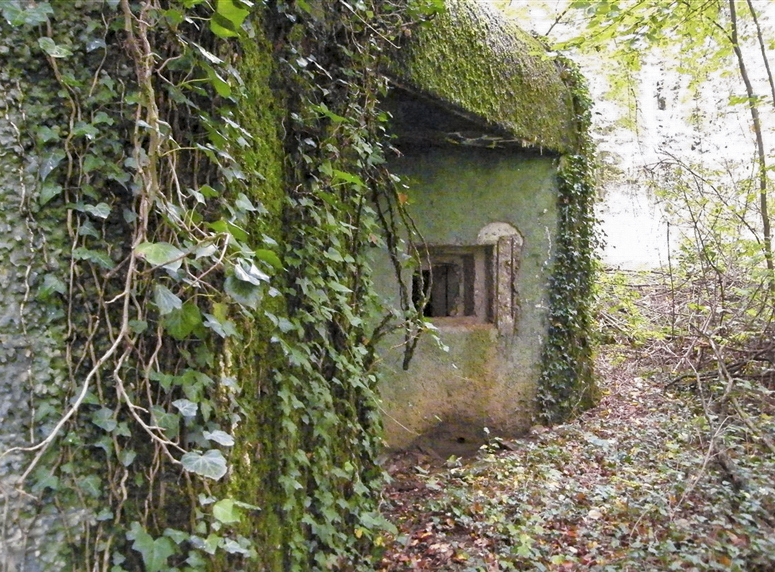 Ligne Maginot - Blockhaus My13 (Villécloye) -  - Jean-Louis AUBLET & Sylvie MAINGUIN