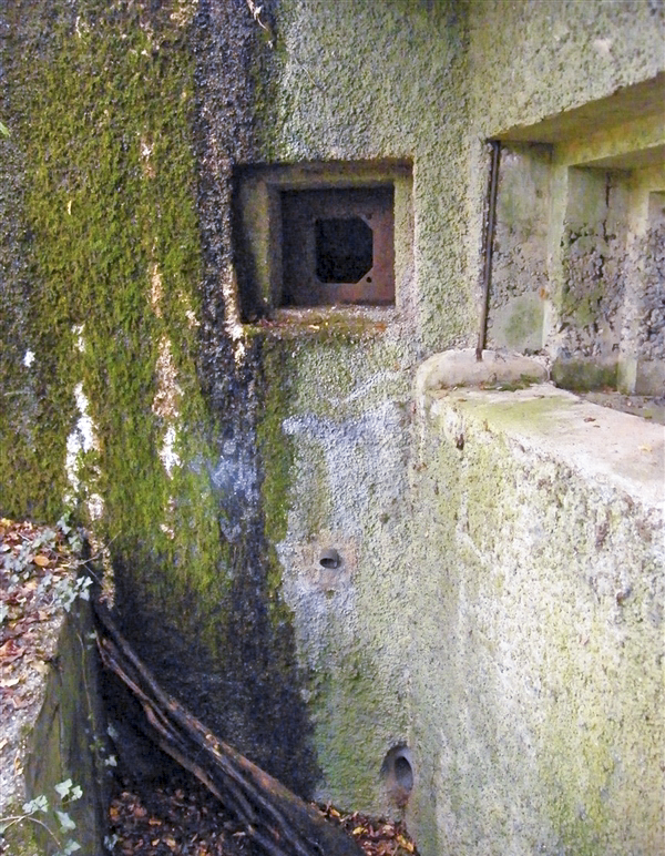 Ligne Maginot - My13 - VILLECLOYE (Casemate d'artillerie) -  - Jean-Louis AUBLET & Sylvie MAINGUIN