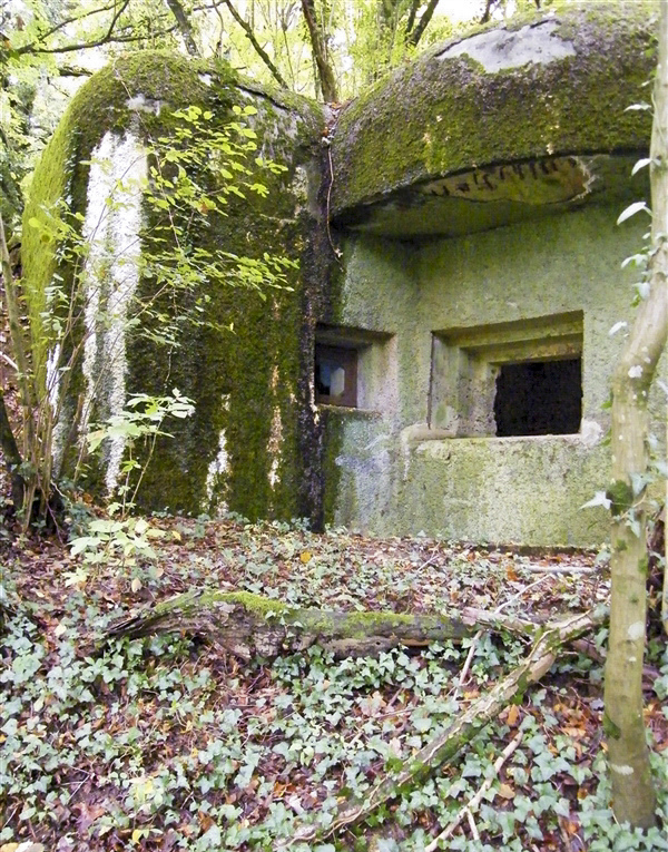 Ligne Maginot - My13 - VILLECLOYE (Casemate d'artillerie) -  - Jean-Louis AUBLET & Sylvie MAINGUIN