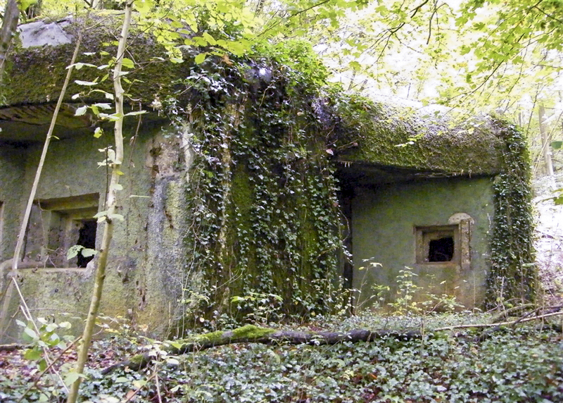 Ligne Maginot - My13 - VILLECLOYE (Casemate d'artillerie) -  - Jean-Louis AUBLET & Sylvie MAINGUIN
