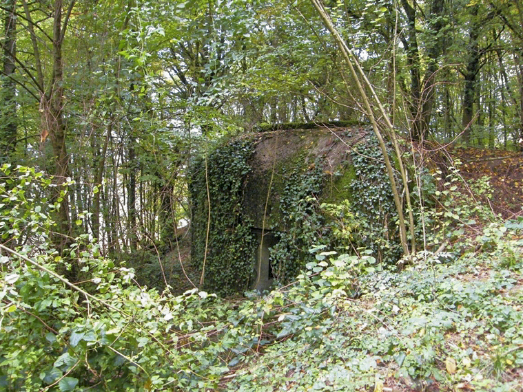Ligne Maginot - My13 - VILLECLOYE (Casemate d'artillerie) -  - Jean-Louis AUBLET & Sylvie MAINGUIN