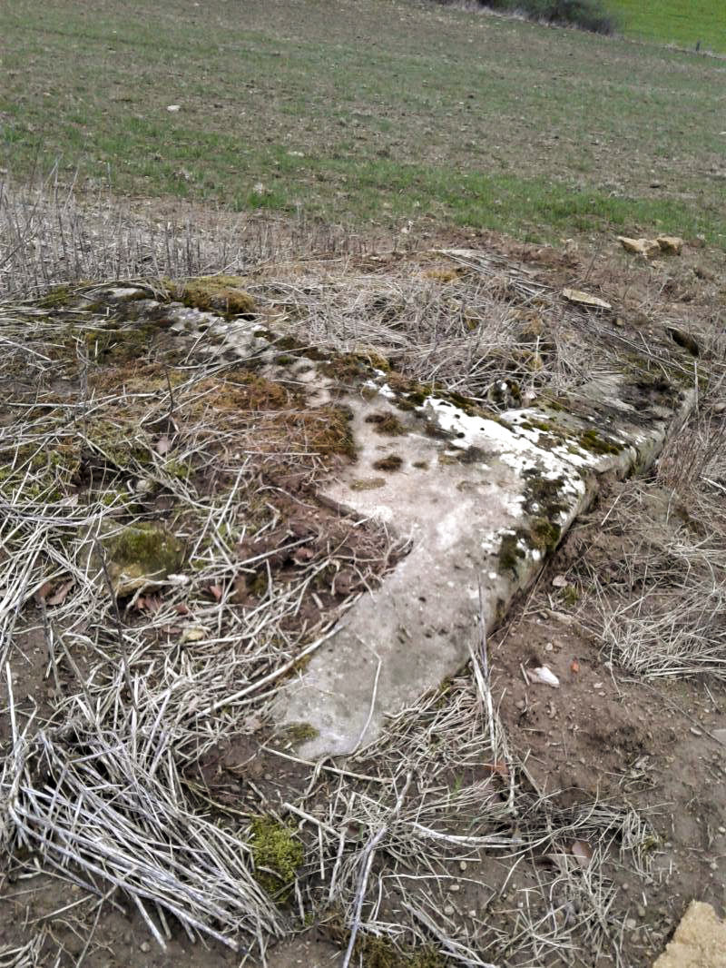 Ligne Maginot - PESELY - (Observatoire indeterminé) - Vue de la partie arrière.
Trappe d'accès supposée. - Fabrice THOMASSIN