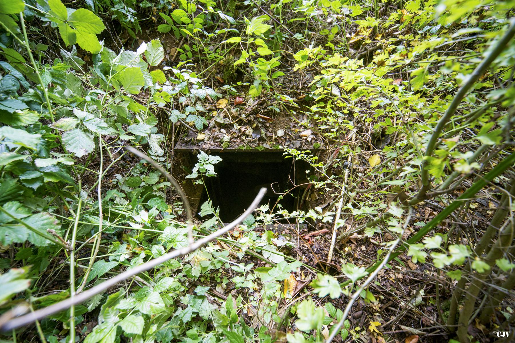 Ligne Maginot - SAINTE MARIE Ouest - L'observatoire - Lia VERMEULEN