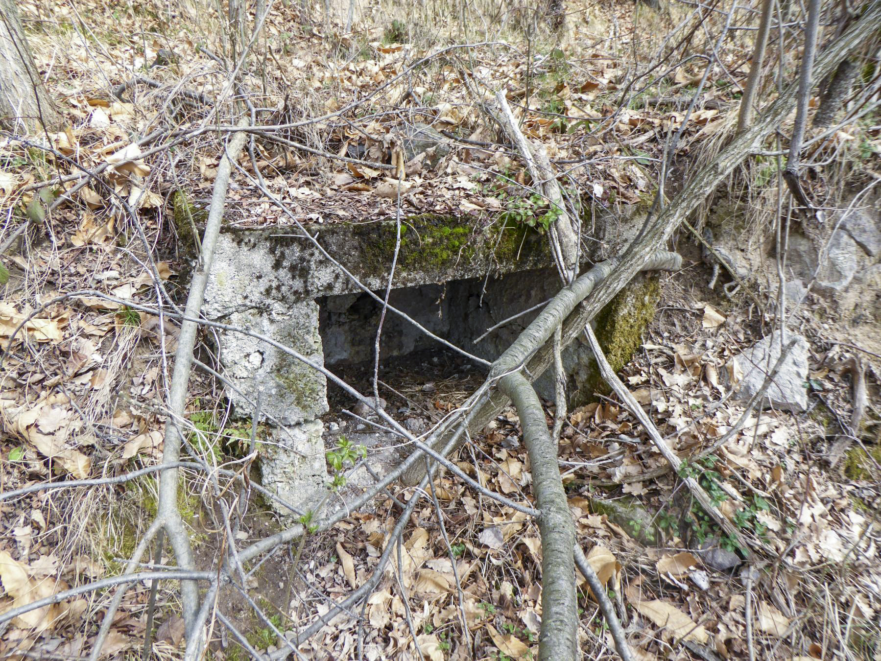 Ligne Maginot - PLANET - (Ouvrage d'infanterie) - Socle du wc extérieur - ELLENA Daniel - CUNY Philippe