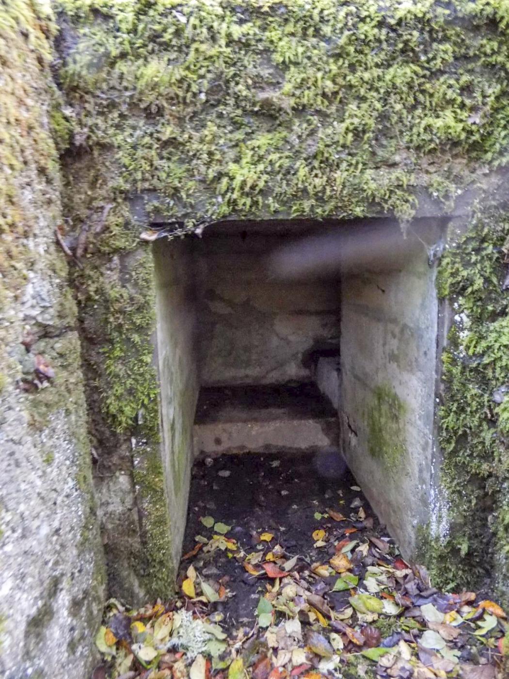 Ligne Maginot - LEMBACH - (Ouvrage d'infanterie) - Bloc 3
Entrée de l'abri du projecteur - luc.j
