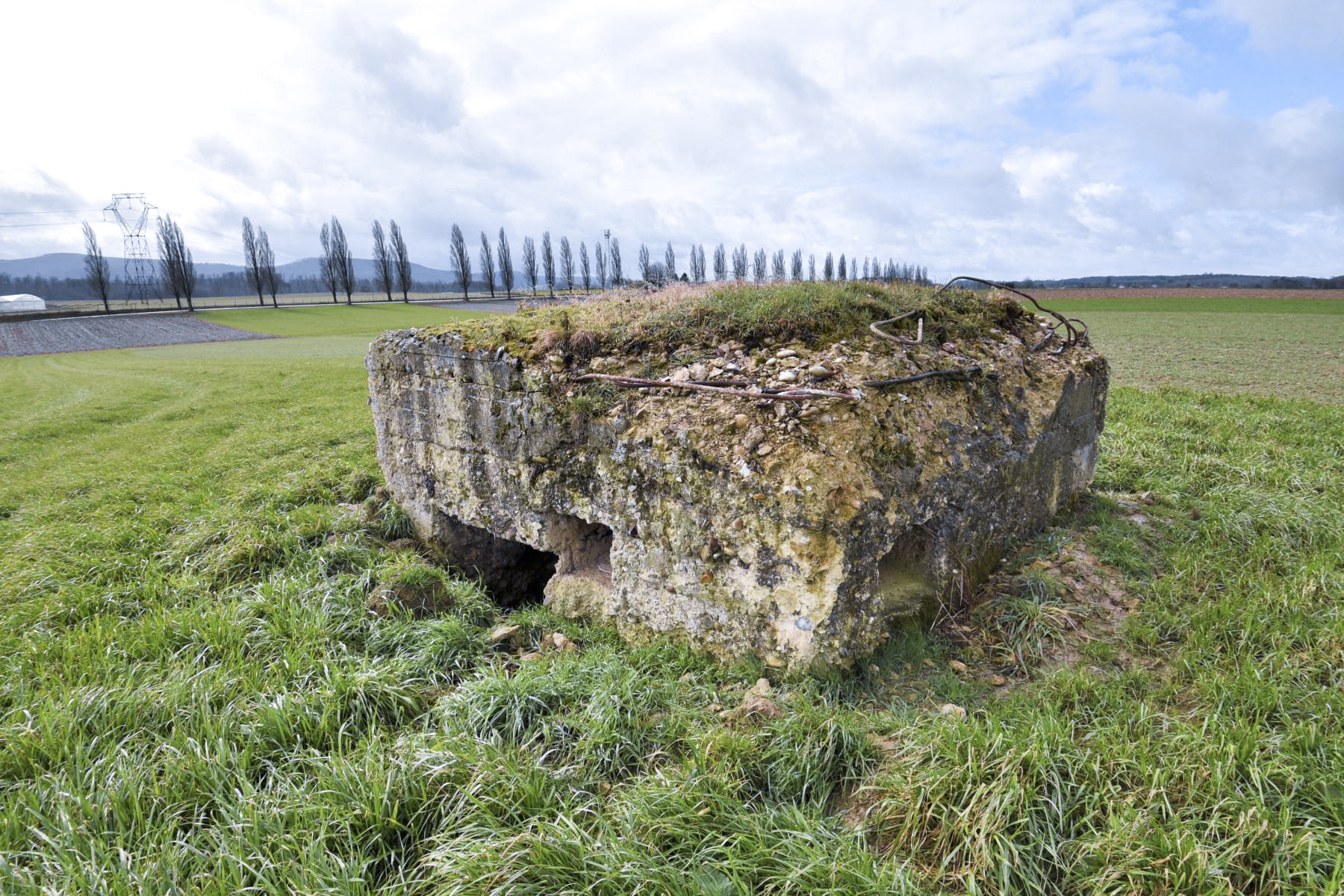 Ligne Maginot - KLEINFELD - (Blockhaus de type indéterminé) -  - Ludovic KNAPP