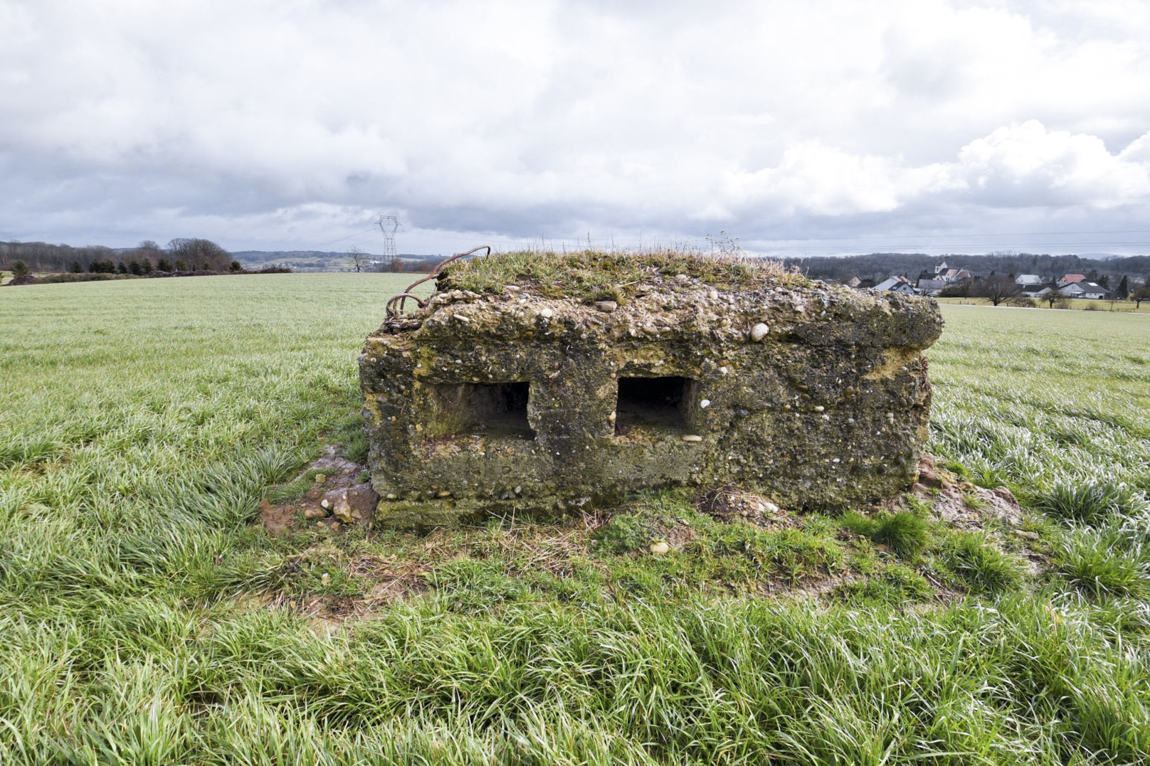 Ligne Maginot - KLEINFELD - (Blockhaus de type indéterminé) -  - Ludovic KNAPP