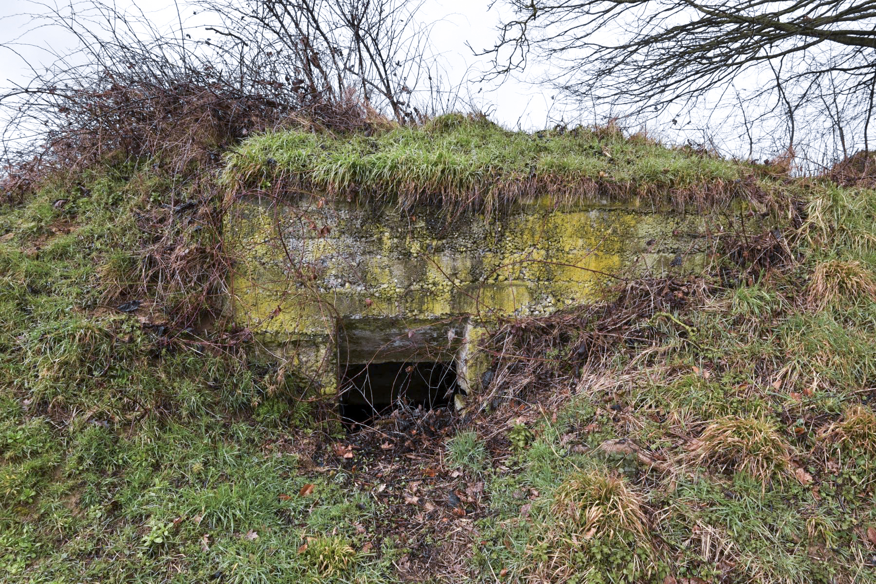 Ligne Maginot - FERME SAINT JACQUES 4 - (Blockhaus de type indéterminé) -  - Ludovic KNAPP