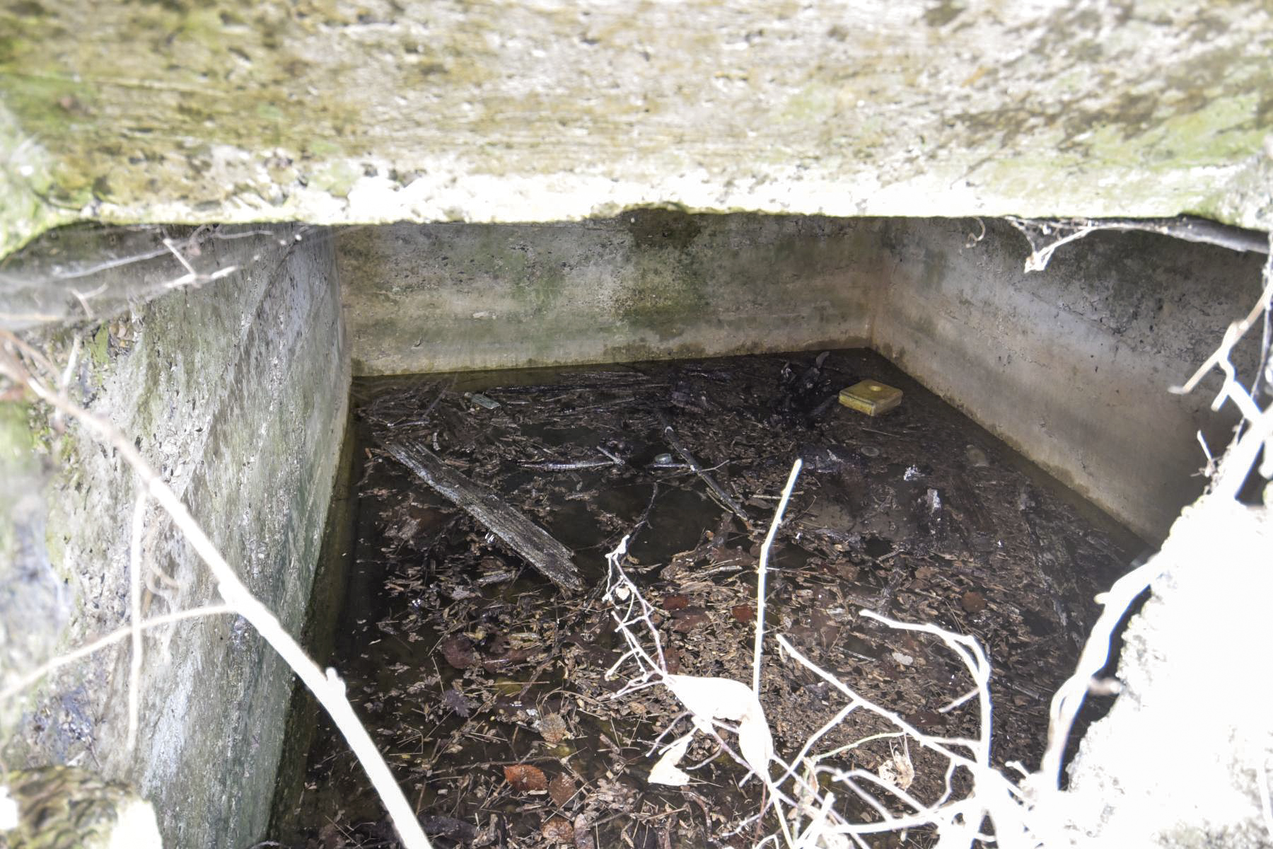 Ligne Maginot - FERME SAINT JACQUES 4 - (Blockhaus de type indéterminé) -  - Ludovic KNAPP