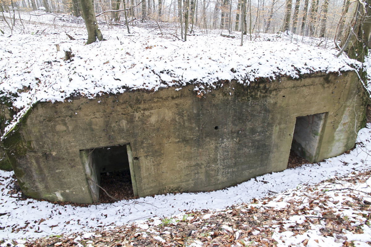 Ligne Maginot - BANHOLZ - (Abri) - Autre abri à proximité. 
 - Alain Perouffe