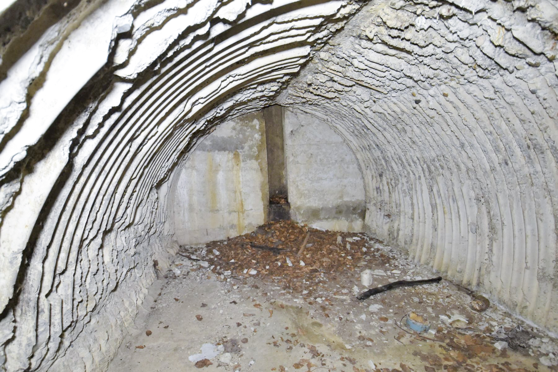 Ligne Maginot - BANHOLZ - (Abri) -  - Ludovic KNAPP