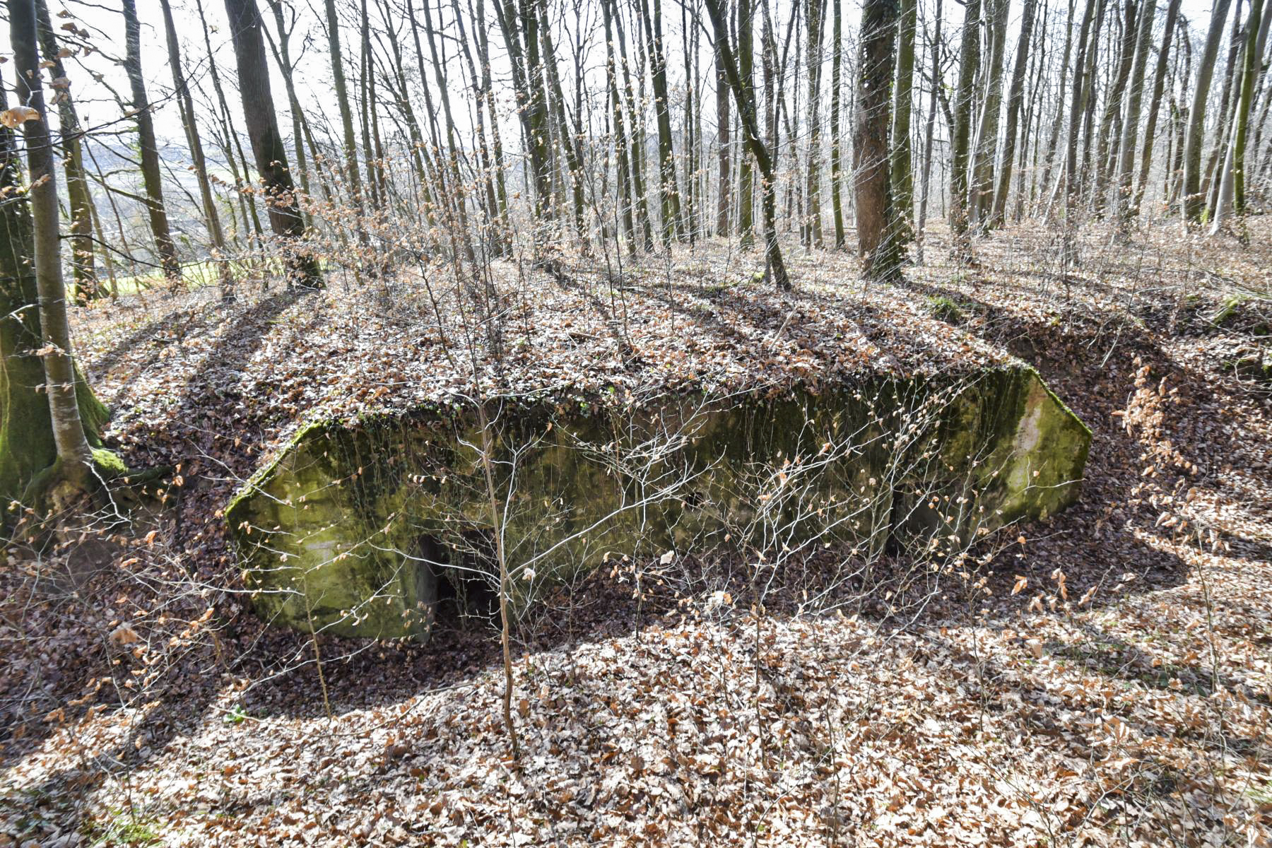 Ligne Maginot - RUETTENNENHOLZ - (Abri) -  - Ludovic KNAPP