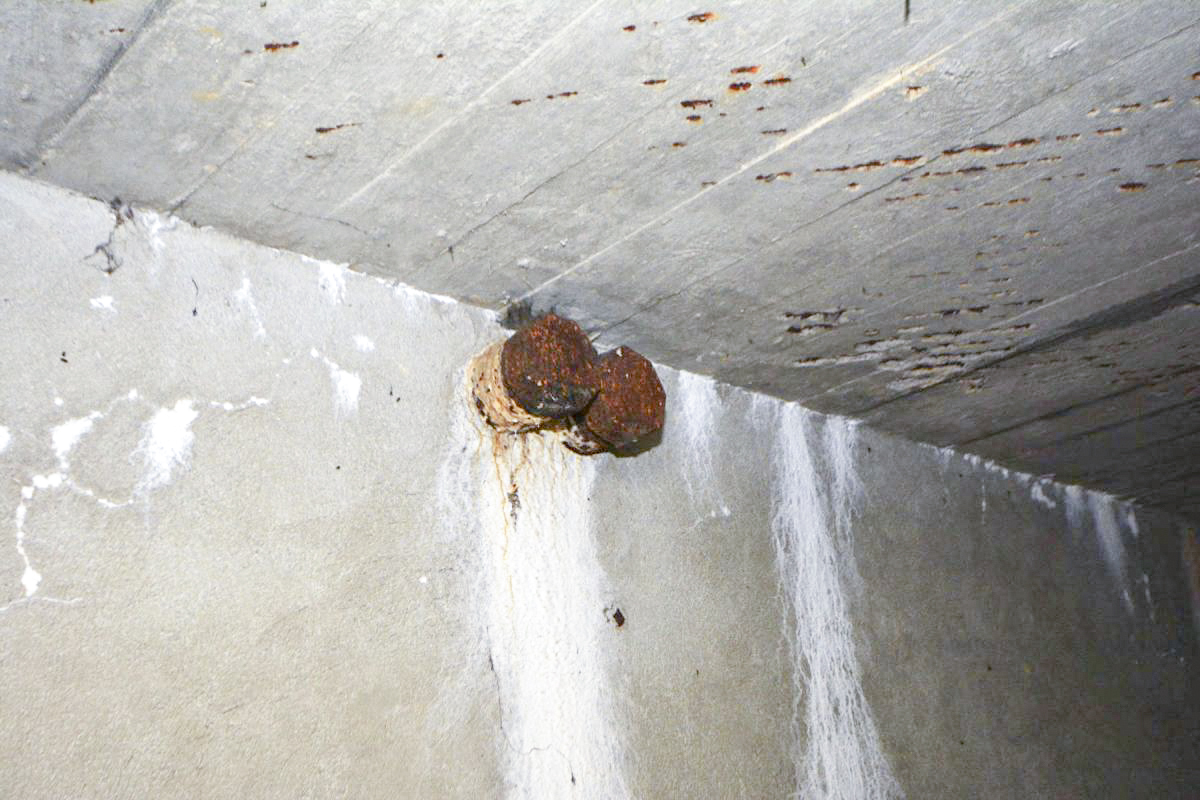 Ligne Maginot - SAINT WALFROY (4° BON - 155° RIF) - (PC de Quartier) - Deux fourreaux acier débouchant sur l'extérieur - LAMBERT Pascal