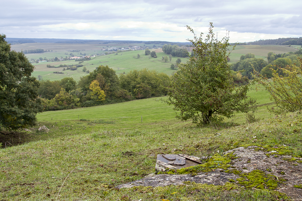 Ligne Maginot - SAINT WALFROY EST - (Observatoire d'infanterie) - Vue panoramique depuis l'observatoire - Michel Teiten