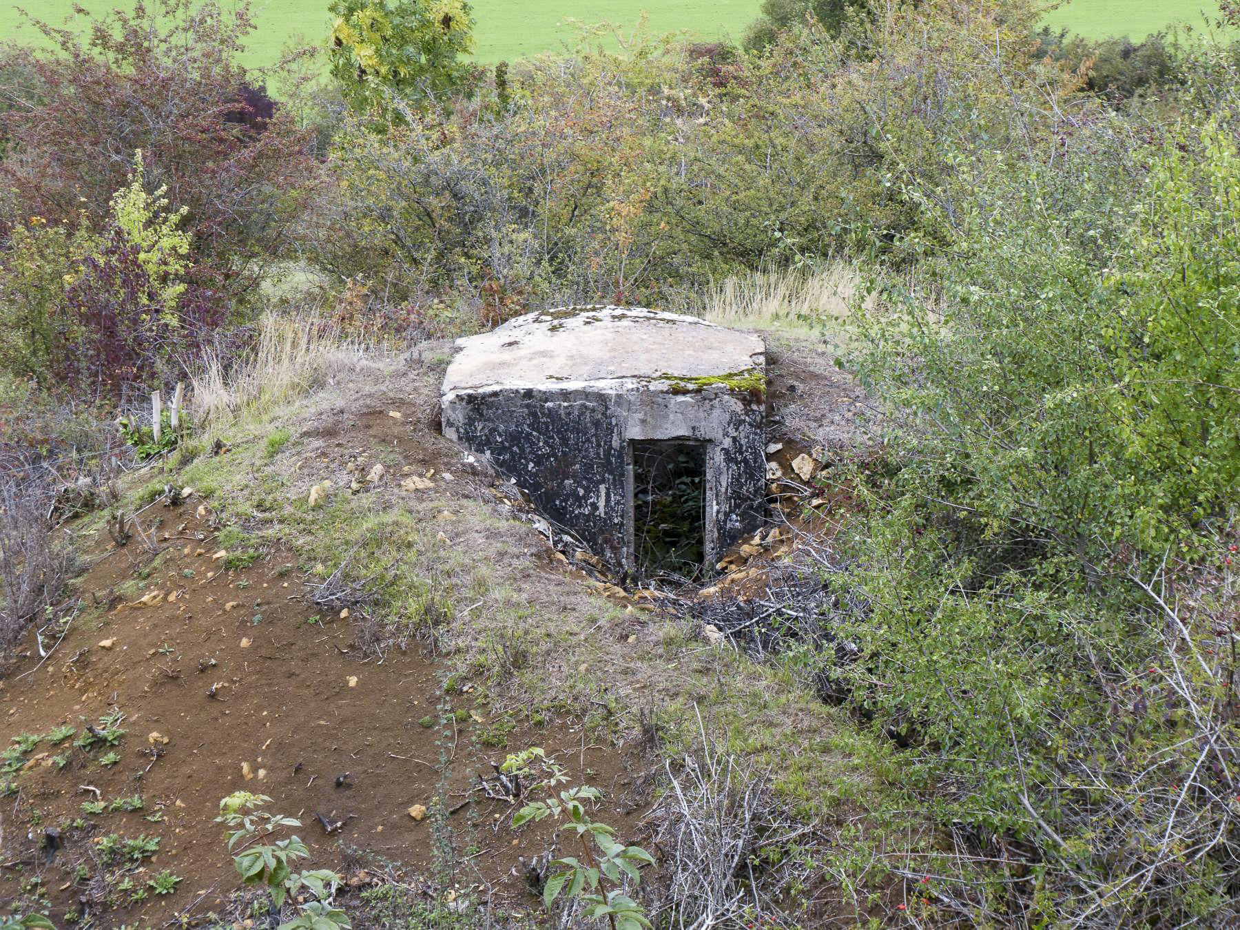 Ligne Maginot - SAINT WALFROY NORD-EST - (Observatoire d'infanterie) -  - ELLENA - CUNY