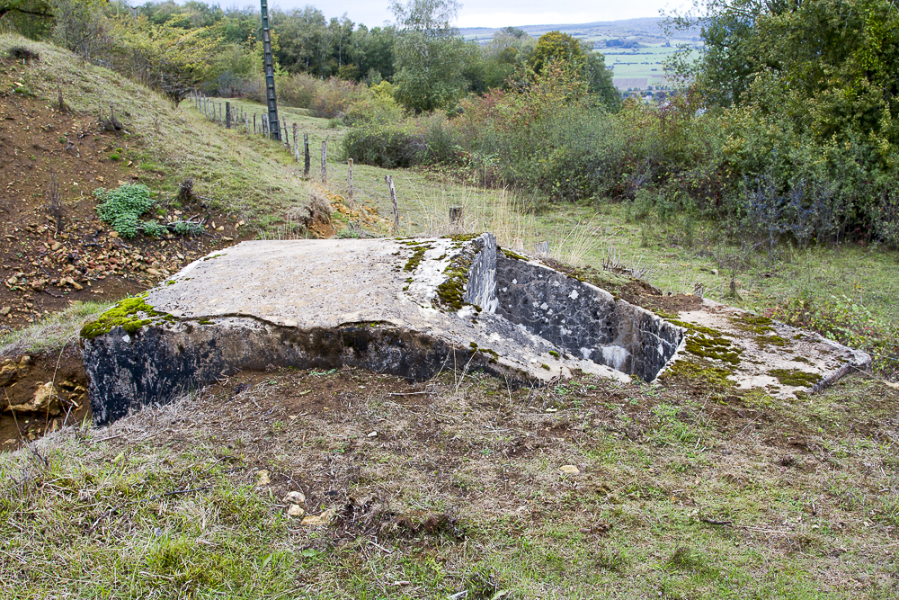 Ligne Maginot - SAINT WALFROY NORD-OUEST - (Observatoire d'infanterie) -  - Michel Teiten