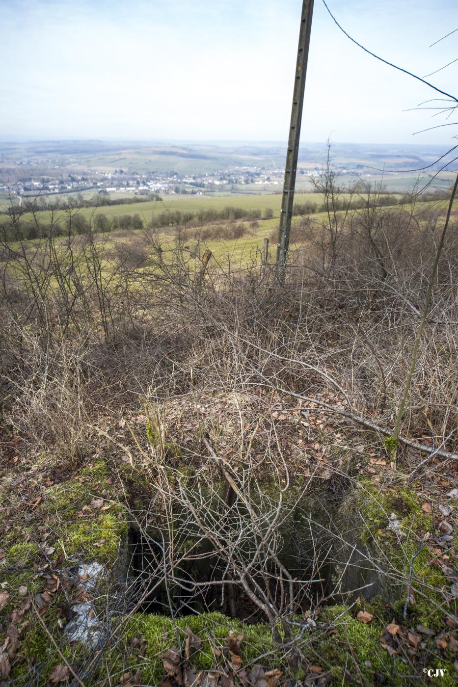 Ligne Maginot - SAINT WALFROY Nord-Ouest 2 - L'observatoire - Lia VERMEULEN