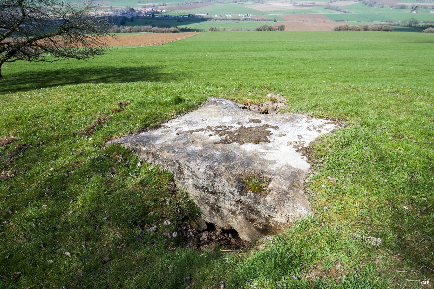 Ligne Maginot - SAINT WALFROY OUEST - (Observatoire d'infanterie) - L'entrée - Lia VERMEULEN