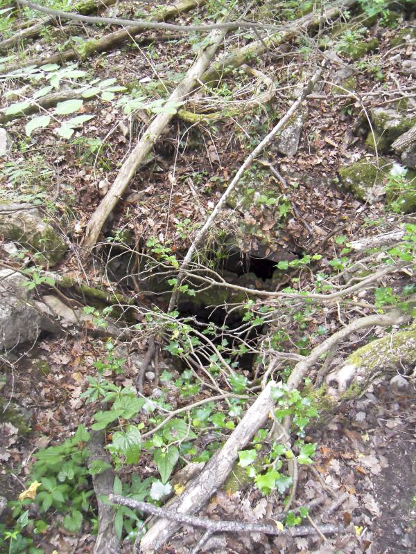 Ligne Maginot - BARBONNET 3 - (Abri) -  - maxime