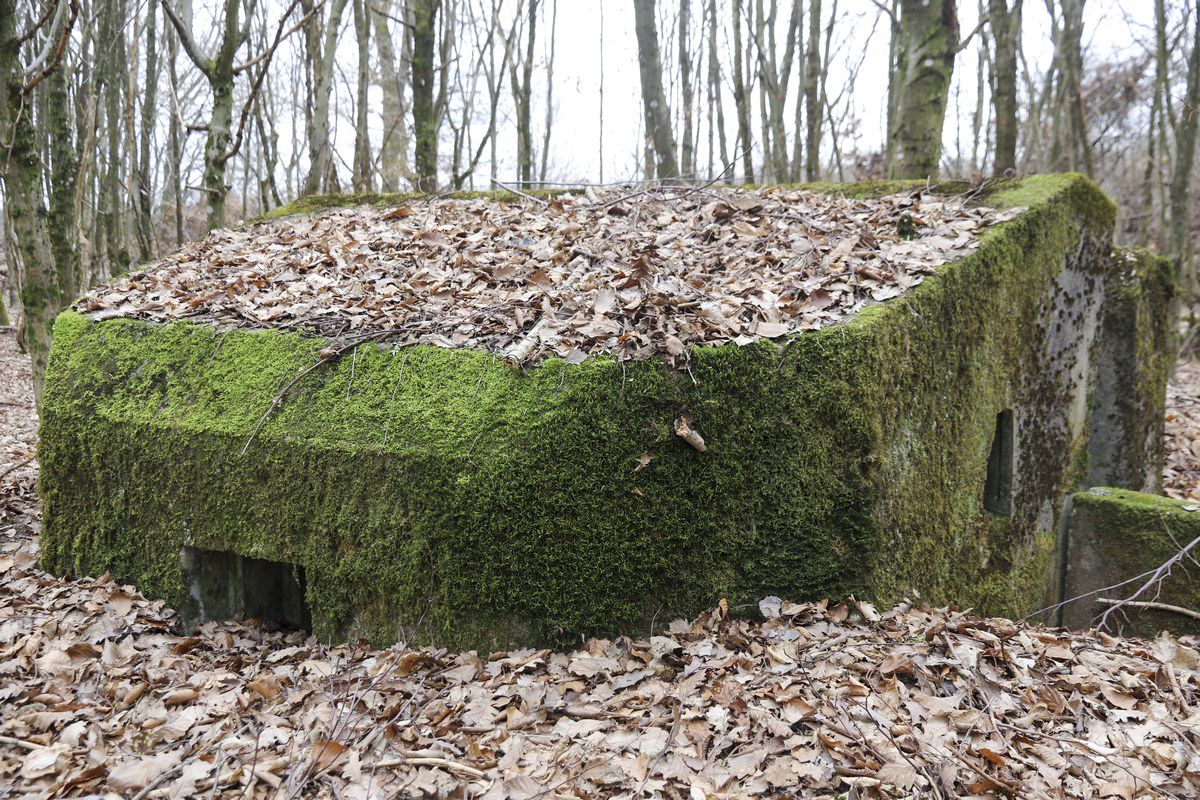 Ligne Maginot - SCHEIDWALD 11 - (Blockhaus pour arme infanterie) -  - Alain Perouffe