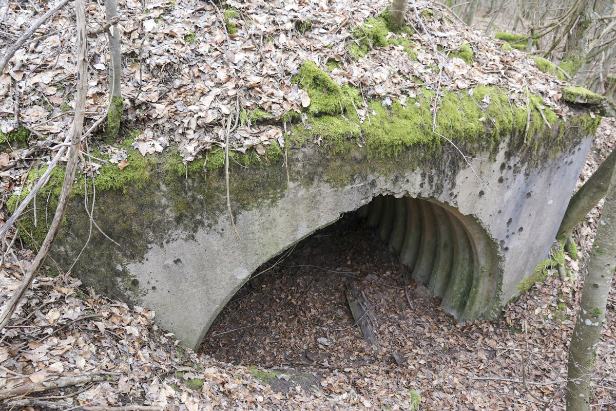 Ligne Maginot - MITTELSWALD (CM5/II/82° RMIF - SOUS-QUARTIER BOIS-HACHETTE) - (PC de Sous-Quartier) - L'unique abri trouvé - Alain Perouffe
