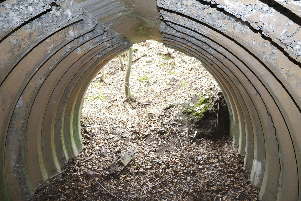 Ligne Maginot - MITTELSWALD (CM5/II/82° RMIF - SOUS-QUARTIER BOIS-HACHETTE) - (PC de Sous-Quartier) - La tôle a disparu, mais proprement.... - Alain Perouffe
