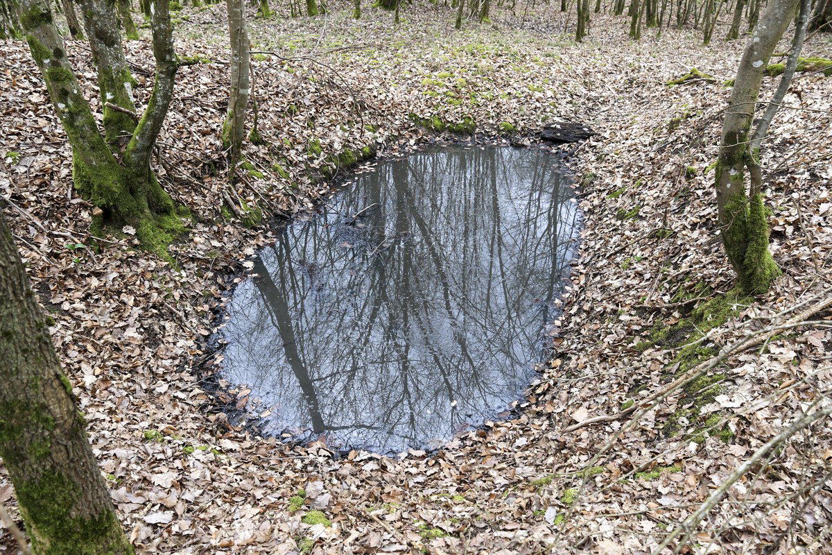 Ligne Maginot - MITTELSWALD (CM5/II/82° RMIF - SOUS-QUARTIER BOIS-HACHETTE) - (PC de Sous-Quartier) - Emplacements de cagnas à proximité
 - Alain Perouffe