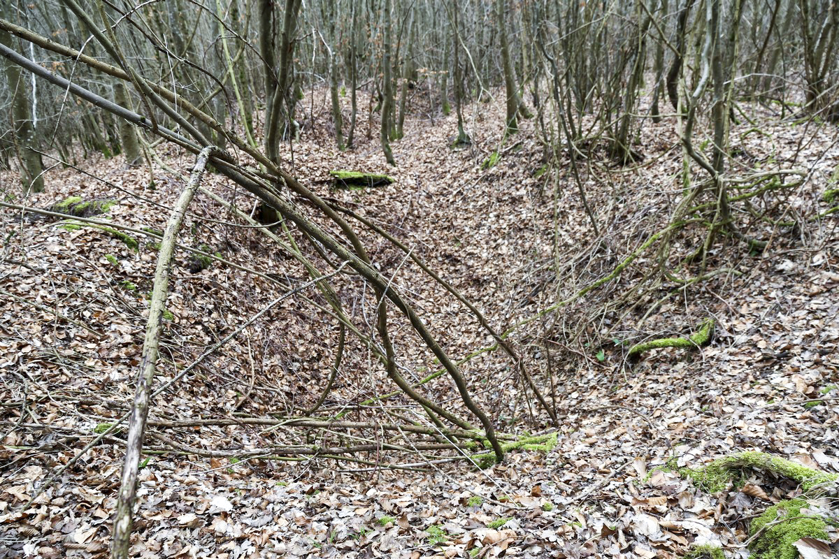 Ligne Maginot - MITTELSWALD (CM5/II/82° RMIF - SOUS-QUARTIER BOIS-HACHETTE) - (PC de Sous-Quartier) - Emplacements de cagnas à proximité
 - Alain Perouffe