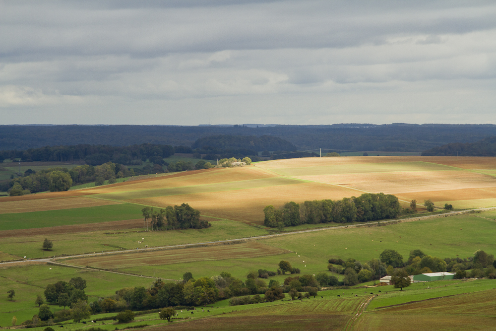 Ligne Maginot - SAPOGNE - (Ouvrage d'infanterie) - La casemate vue depuis l'observatoire de Saint Walfroy - Michel Teiten