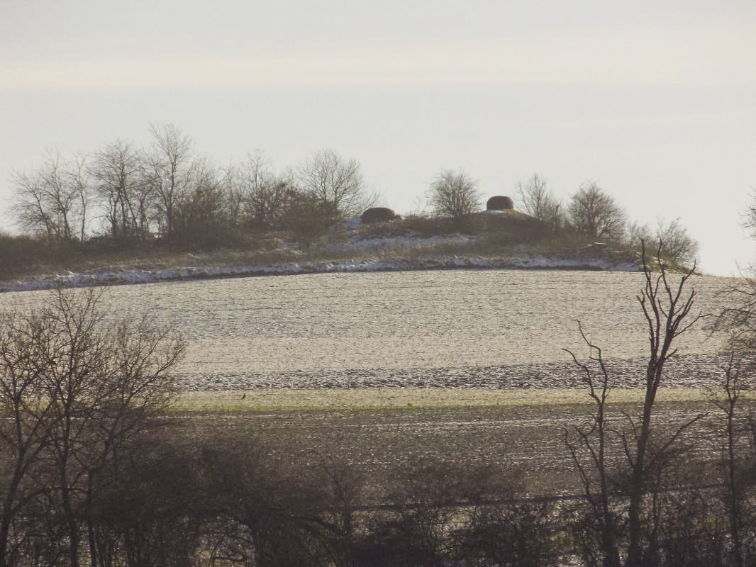 Ligne Maginot - SAPOGNE - (Ouvrage d'infanterie) - Pris du nord ouest - R Tucker