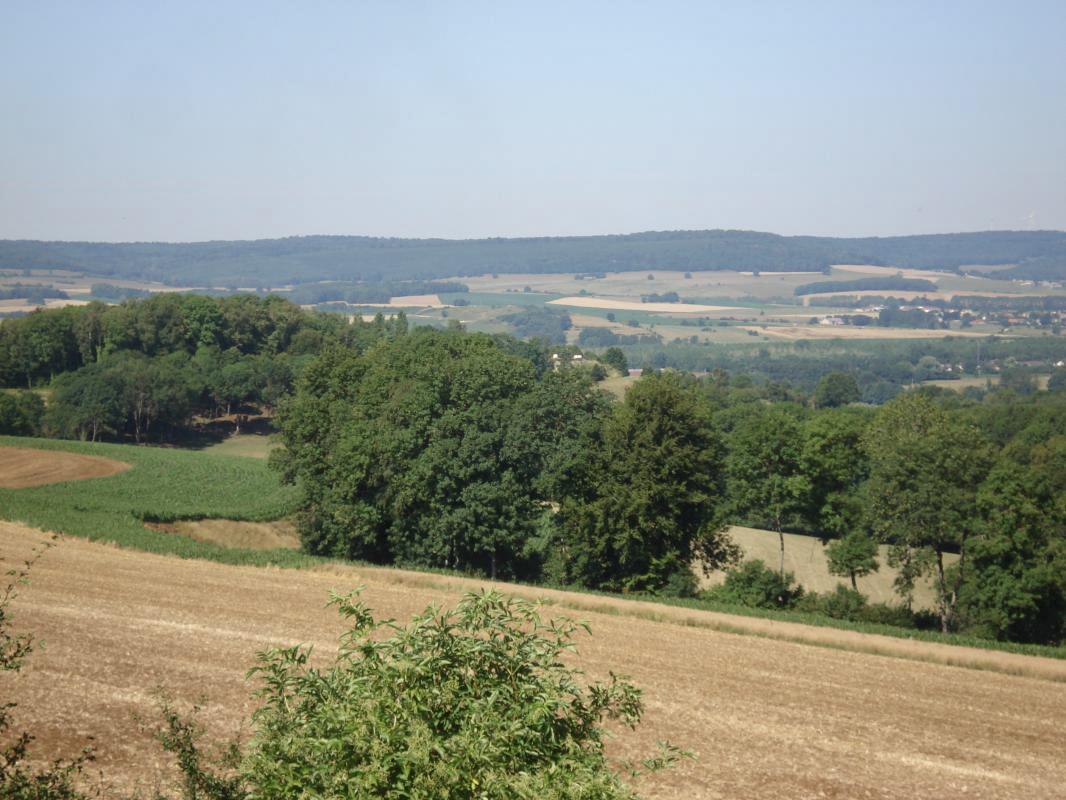 Ligne Maginot - SAPOGNE - (Ouvrage d'infanterie) - Vers l'ouest, casemate Sainte Marie tout au milieu (les cloches avec la peinture crème). - R Tucker