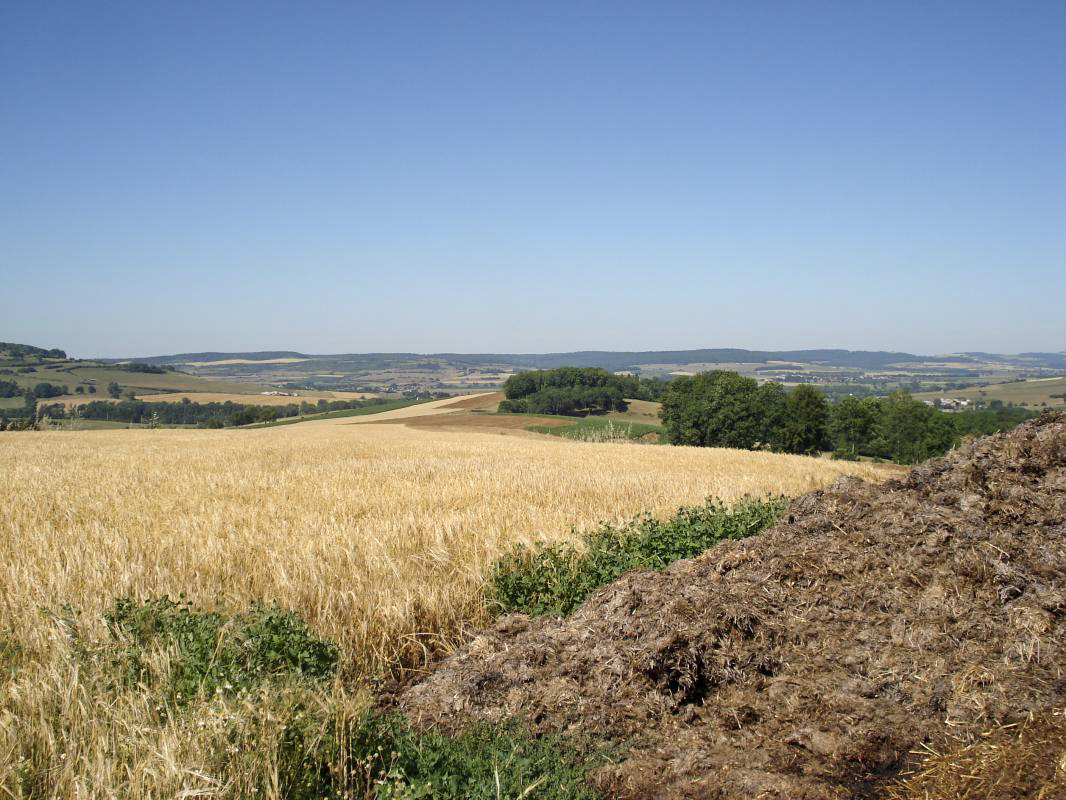 Ligne Maginot - SAPOGNE - (Ouvrage d'infanterie) - Vue vers l'ouest, la vallée de la Chiers et l'ouvrage de la Ferté - R Tucker