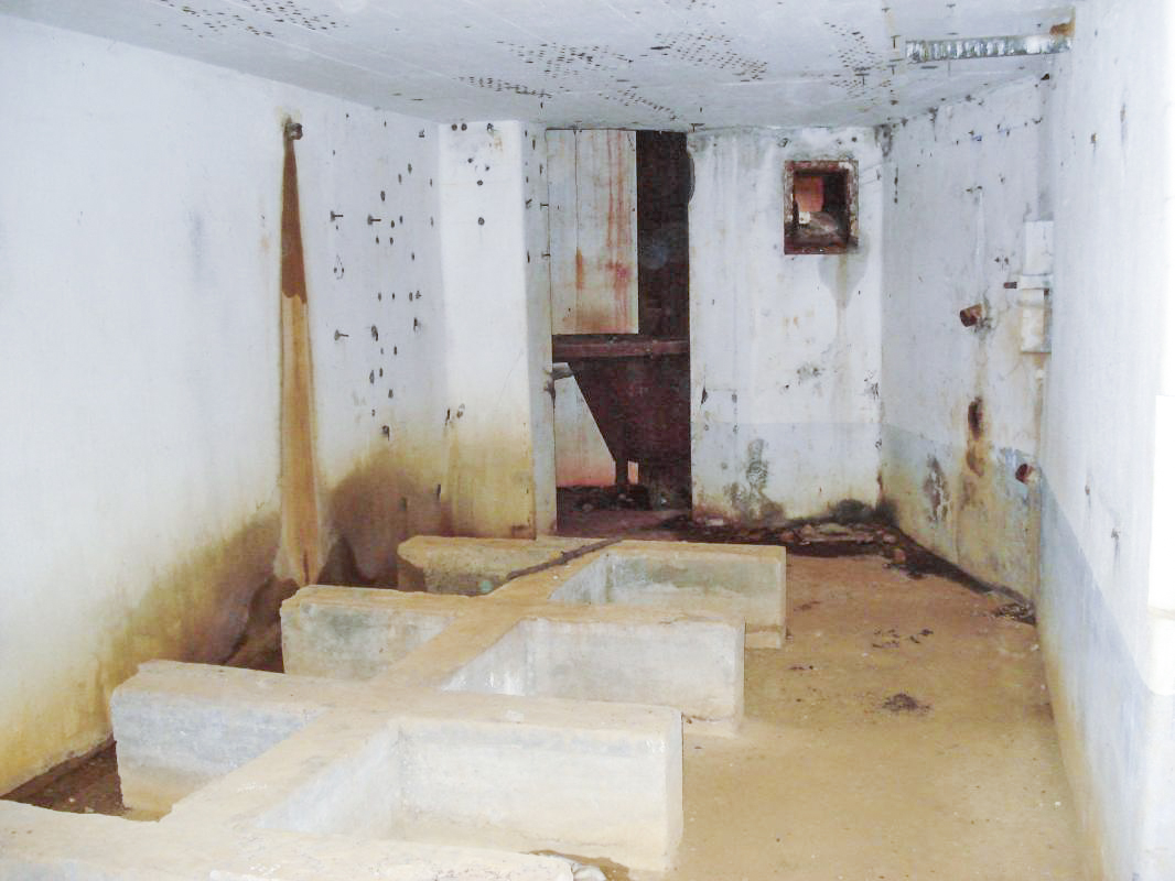 Ligne Maginot - THONNE LE THIL - (Casemate d'infanterie - Double) -  - R Tucker