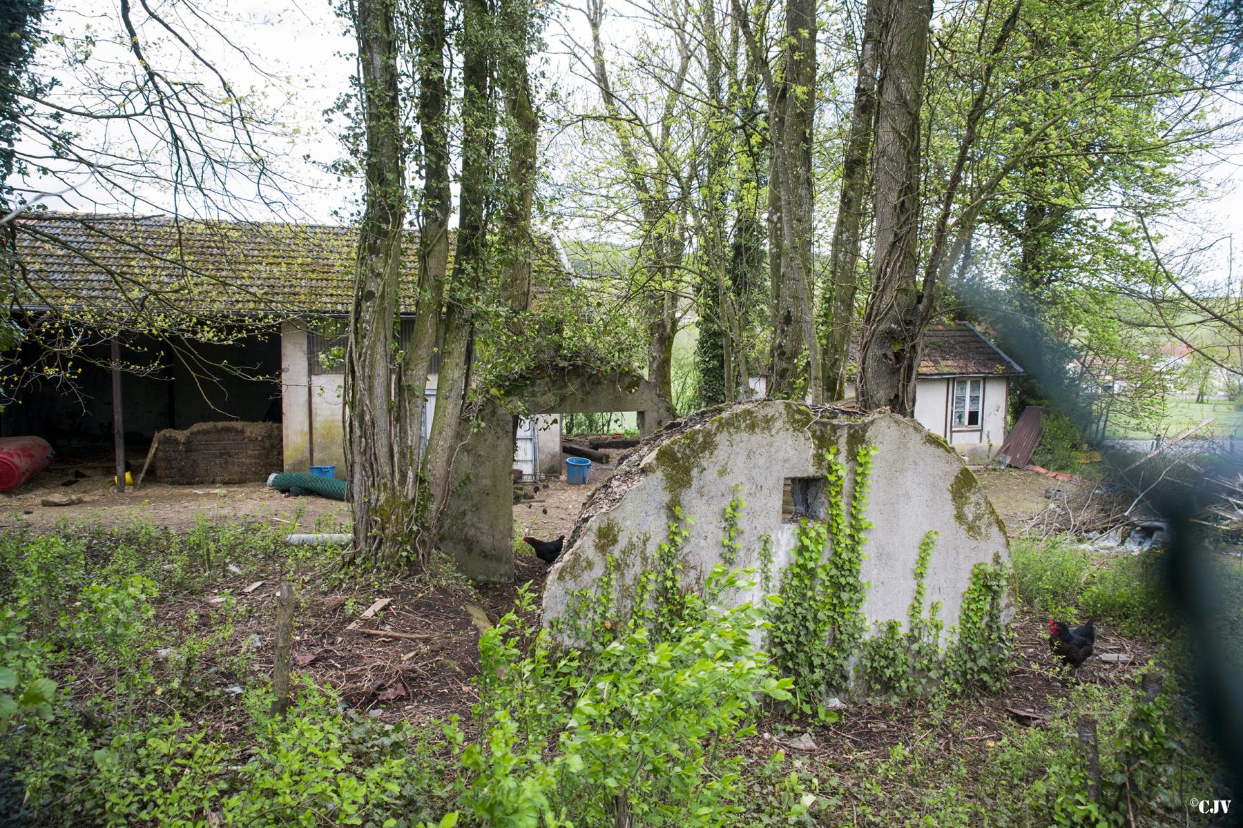 Ligne Maginot - THONNELLE - (Camp de sureté) -  - Lia VERMEULEN